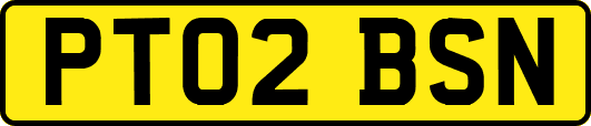 PT02BSN