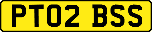 PT02BSS