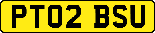 PT02BSU