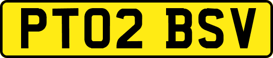 PT02BSV