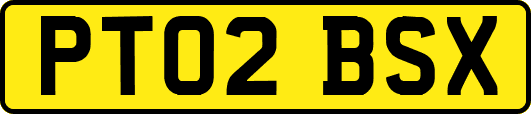 PT02BSX