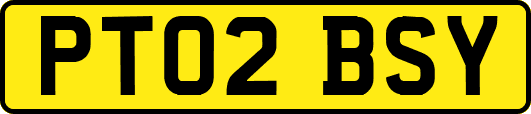 PT02BSY