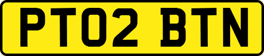 PT02BTN