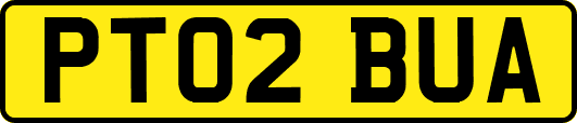 PT02BUA