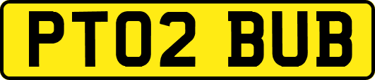 PT02BUB