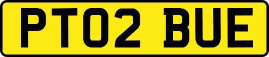 PT02BUE