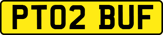 PT02BUF