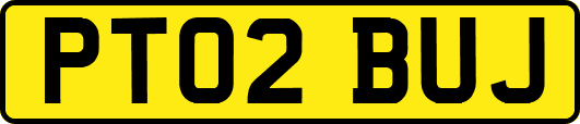 PT02BUJ