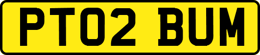PT02BUM