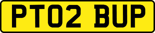 PT02BUP