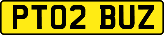 PT02BUZ