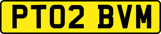 PT02BVM