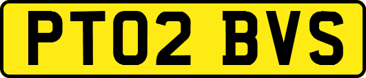 PT02BVS