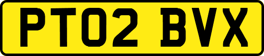 PT02BVX