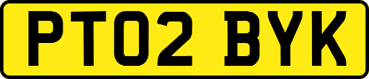 PT02BYK