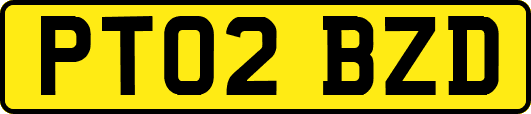PT02BZD