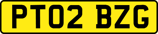 PT02BZG