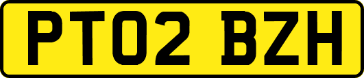 PT02BZH