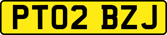 PT02BZJ
