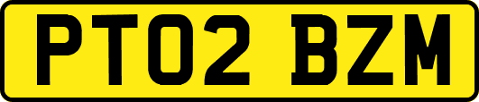 PT02BZM