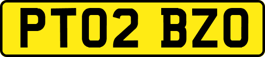 PT02BZO