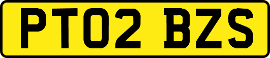 PT02BZS