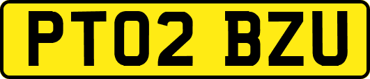 PT02BZU