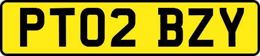 PT02BZY