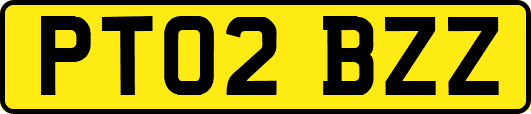 PT02BZZ
