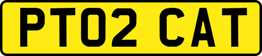 PT02CAT