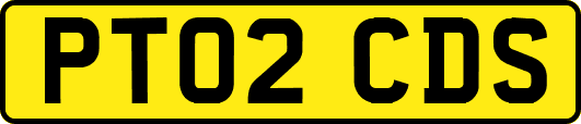 PT02CDS