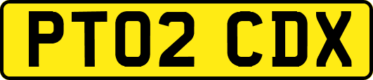 PT02CDX