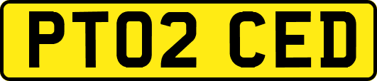 PT02CED
