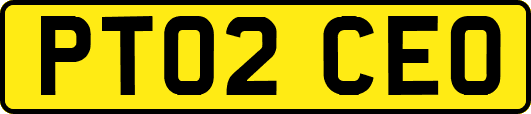 PT02CEO