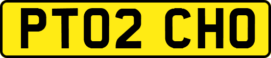 PT02CHO
