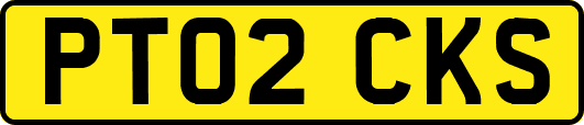 PT02CKS