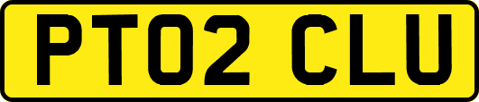 PT02CLU