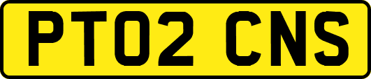 PT02CNS