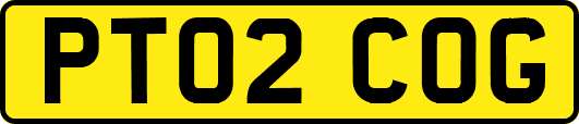 PT02COG
