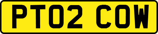 PT02COW