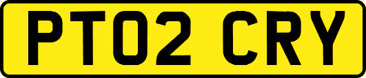 PT02CRY