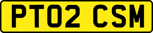 PT02CSM
