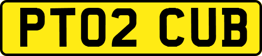 PT02CUB