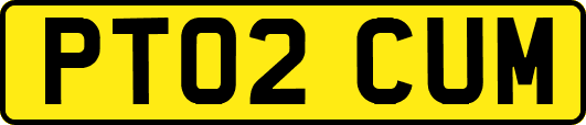 PT02CUM