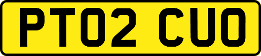 PT02CUO