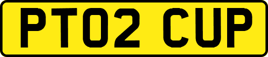 PT02CUP