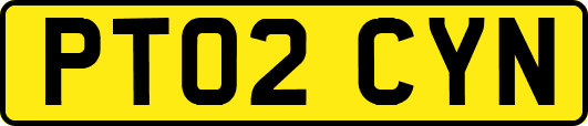 PT02CYN