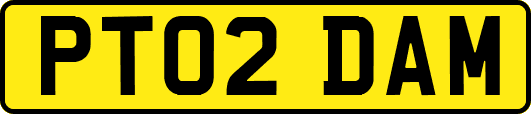 PT02DAM