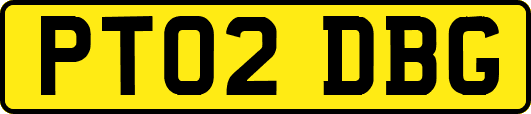 PT02DBG