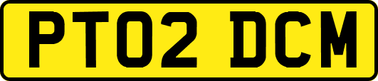 PT02DCM